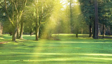 Crestlawn Memorial Gardens